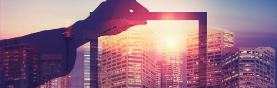 Digital Media Marketing Agency